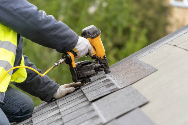 Best Roof Moss and Algae Removal  in Clay, CA